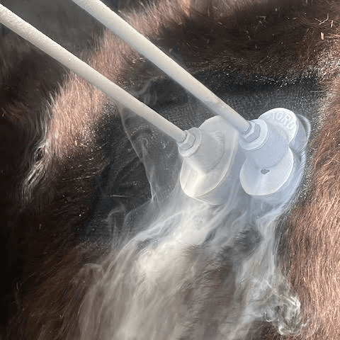 El-Toro Freeze Brands